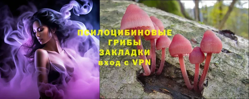 Псилоцибиновые грибы Psilocybe  Раменское 